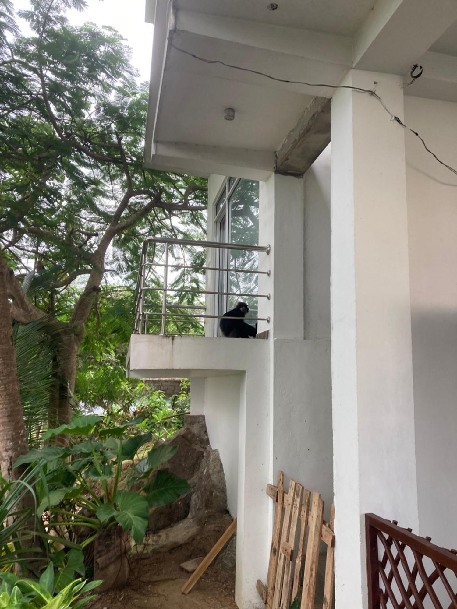 Jungle Beach Restaurant And Hotel-Jbr Galle Exterior photo